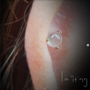 Screenshot 2022-11-11 at 15-47-11 Le Sting Piercings (@lestingpiercings) • Instagram photos and videos
